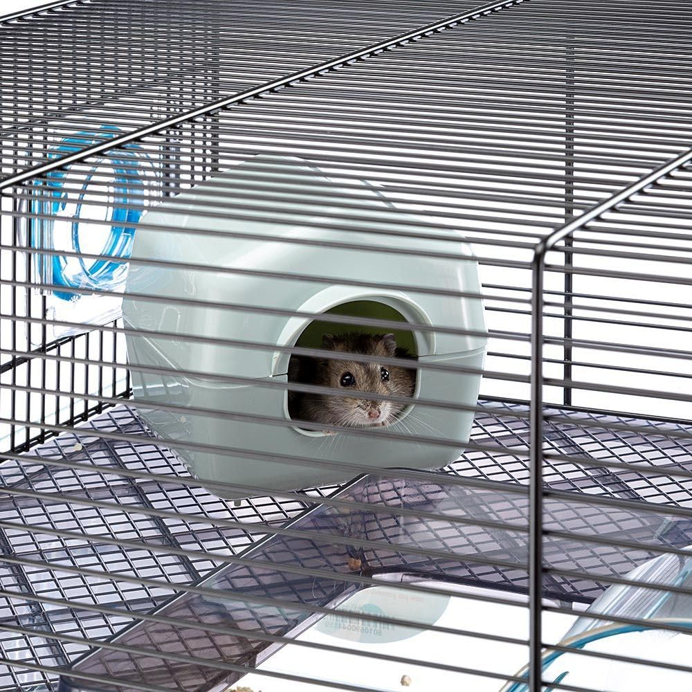 ferplast-favola-cage-pour-hamsters-et-petits-rongeurs-60-x-36-5-x-30-cm image 7