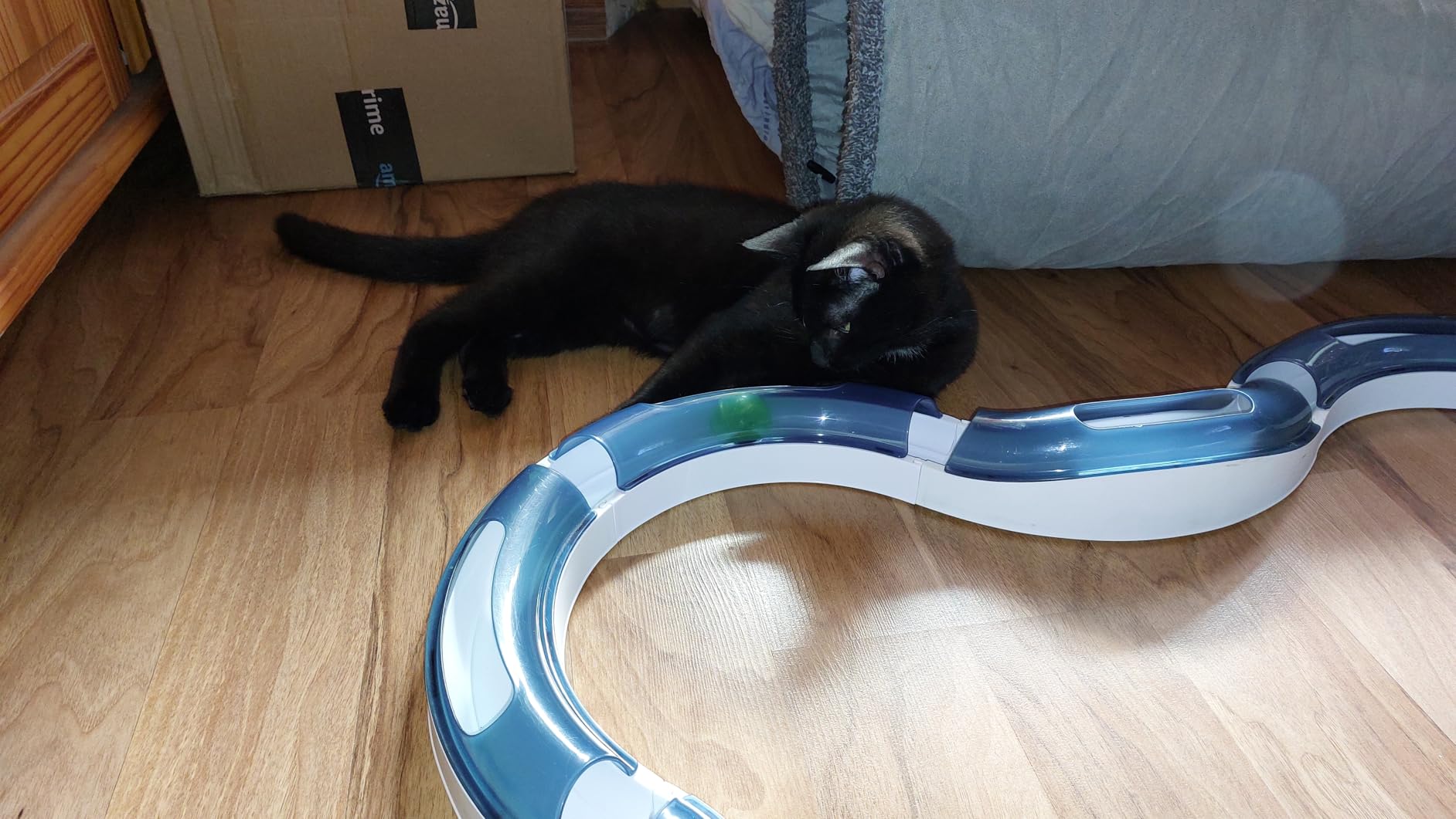 Idéal pour chat d'appartement