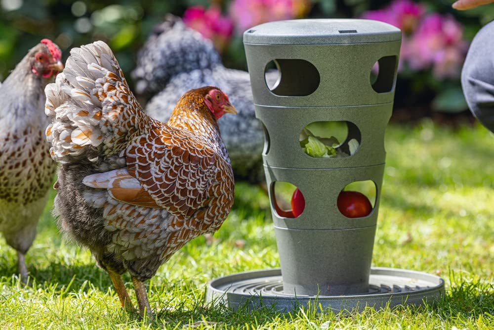 karlie-beeztees-tour-d-alimentation-pour-poules-gris-30-x-30-x-37-cm image 3