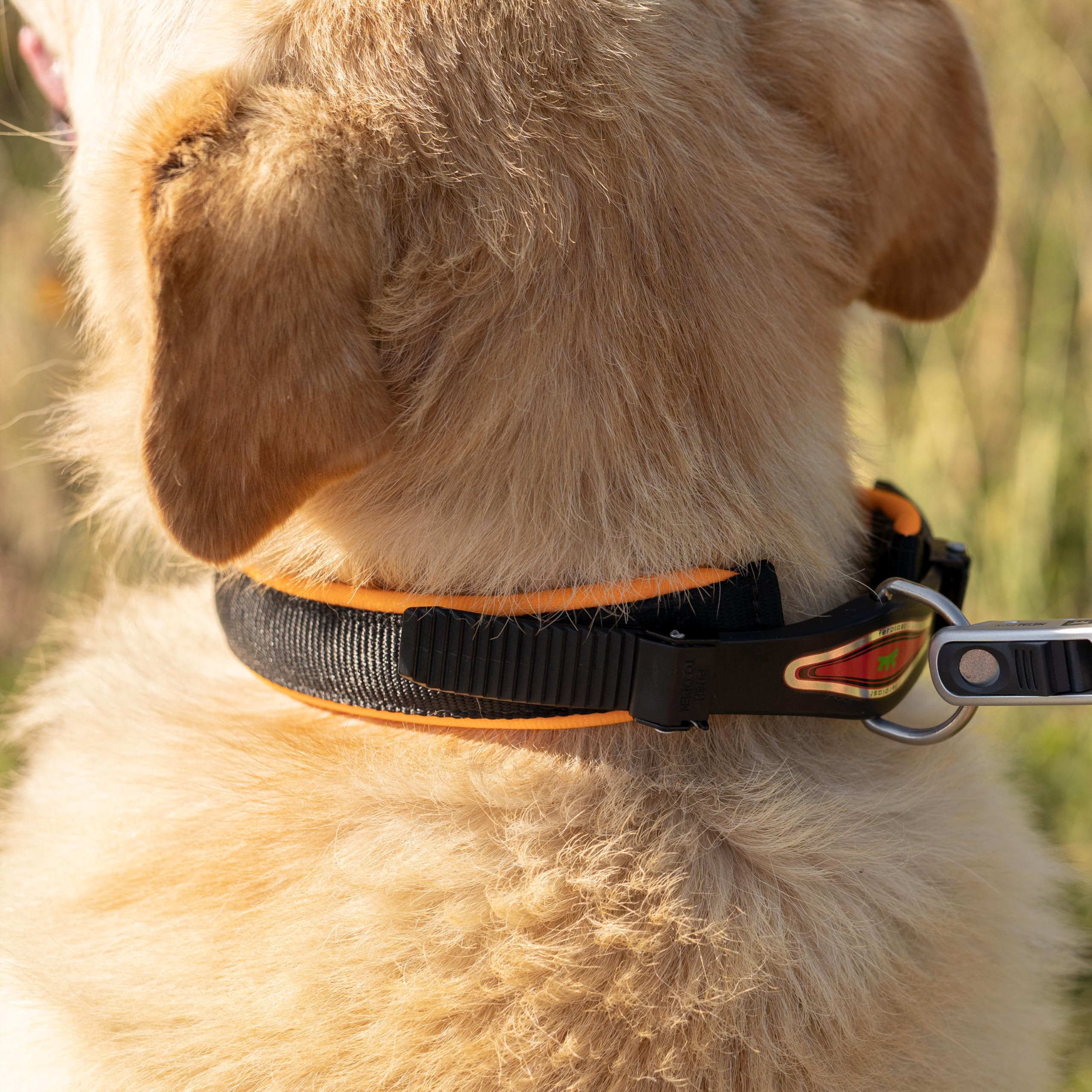 ferplast-ergofluo-c25-51-collier-de-dressage-pour-chien-orange image 3