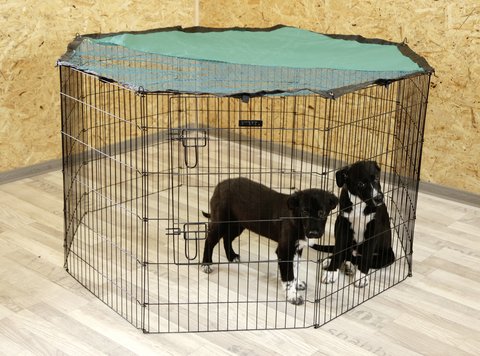 kerbl-pet-enclos-chiots-et-petits-animaux-57x78-cm-8-grilles-avec-porte image 5