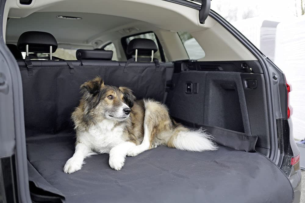 kerbl-pet-economy-couverture-de-protection-coffre-voiture-170x100cm image 6