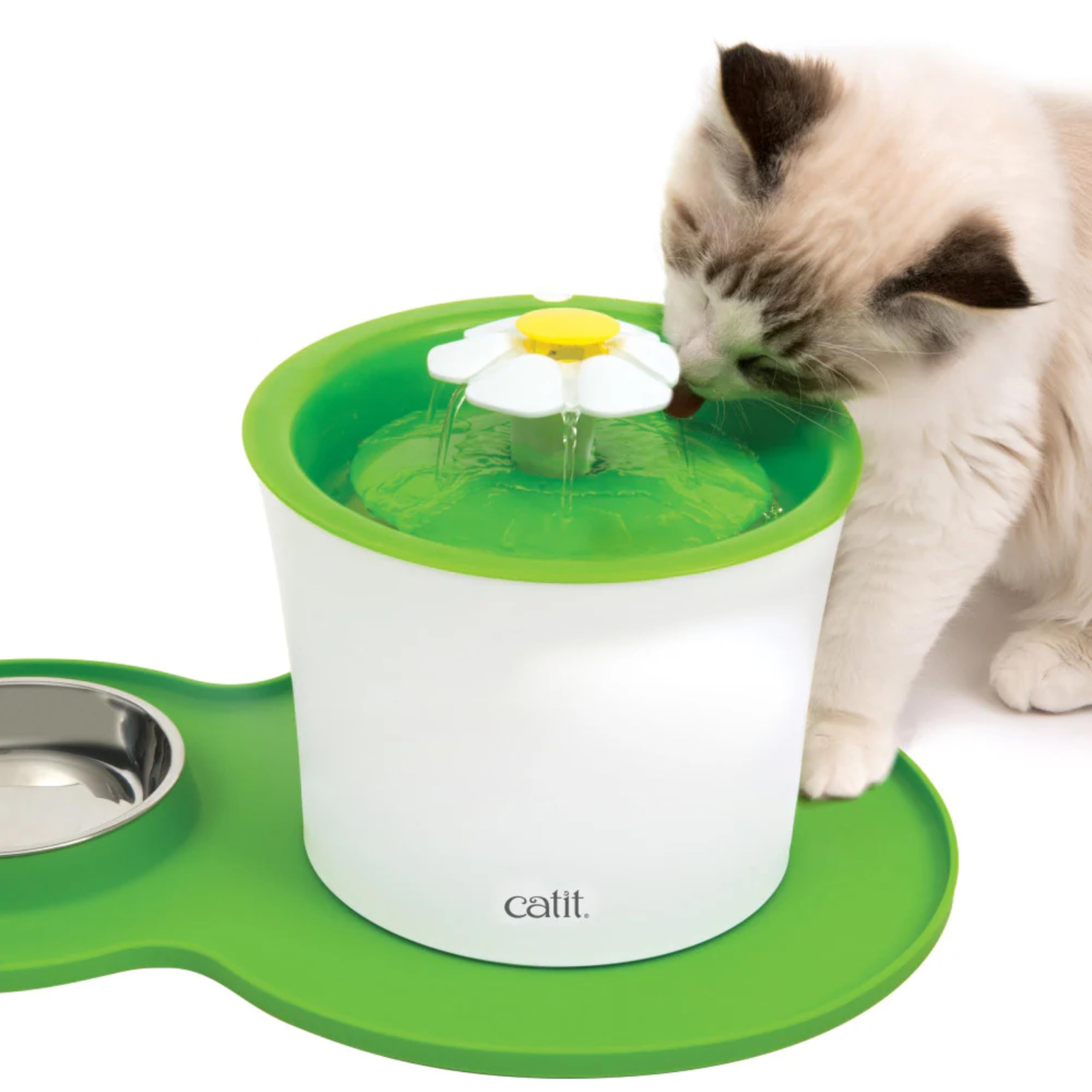 catit-set-de-table-en-silicone-chat-44-5-x-29-cm-vert image 5