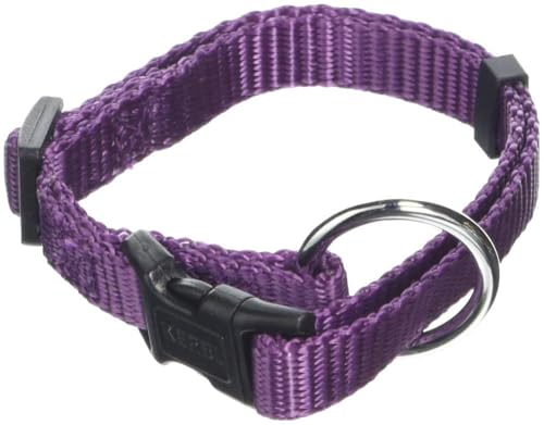 kerbl-miami-collier-chien-violet-nylon-10-mm-r-glable-20-35-cm image 7