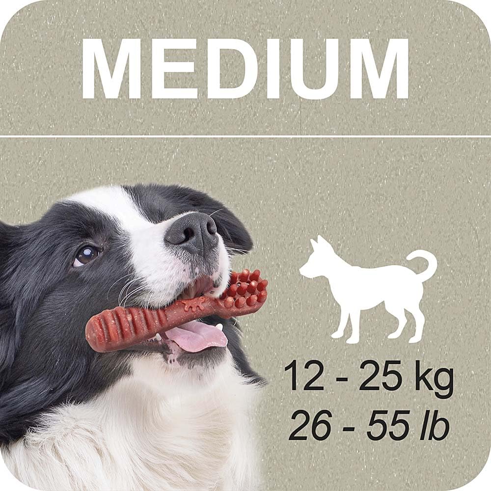 ferplast-100-snack-naturel-chien-taille-moyenne-melissa-relaxant-kit-3-x-315-g image 6