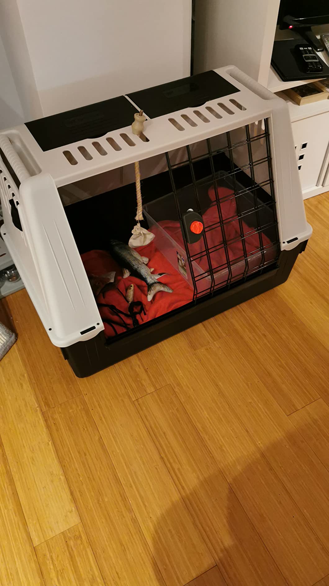 Mon chien l'adore