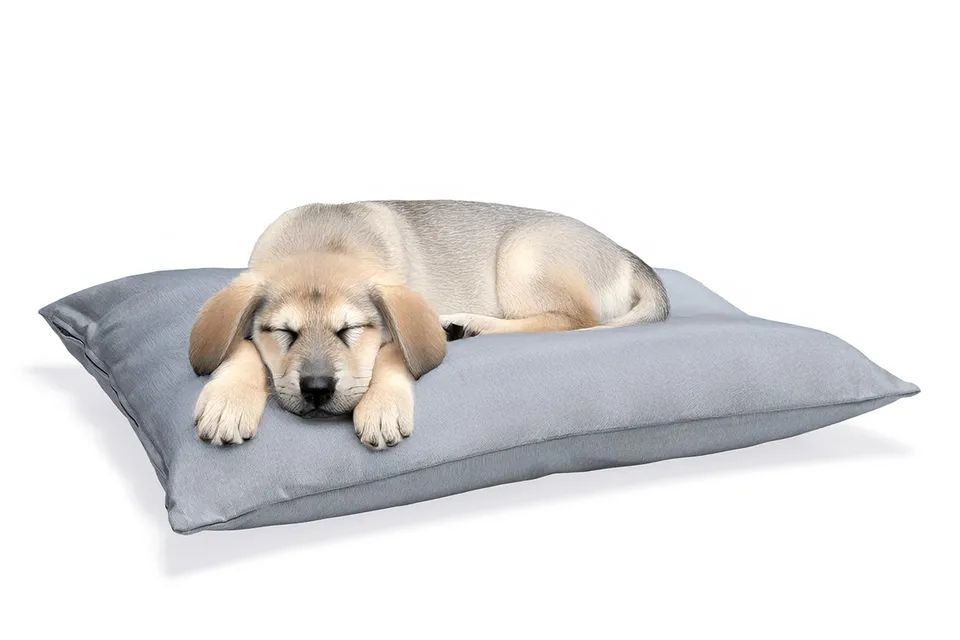 karlie-charly-coussin-pour-chien-gris-clair-80-x-60-x-15-cm image 1