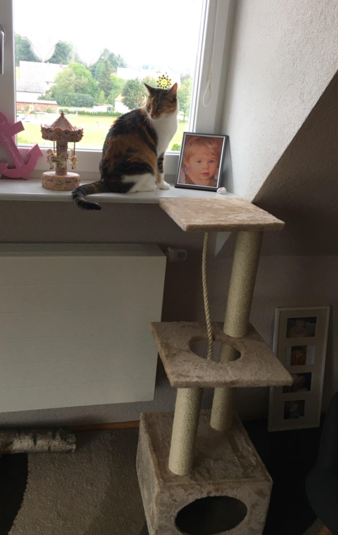 Très bien pour 1 à 2 chats