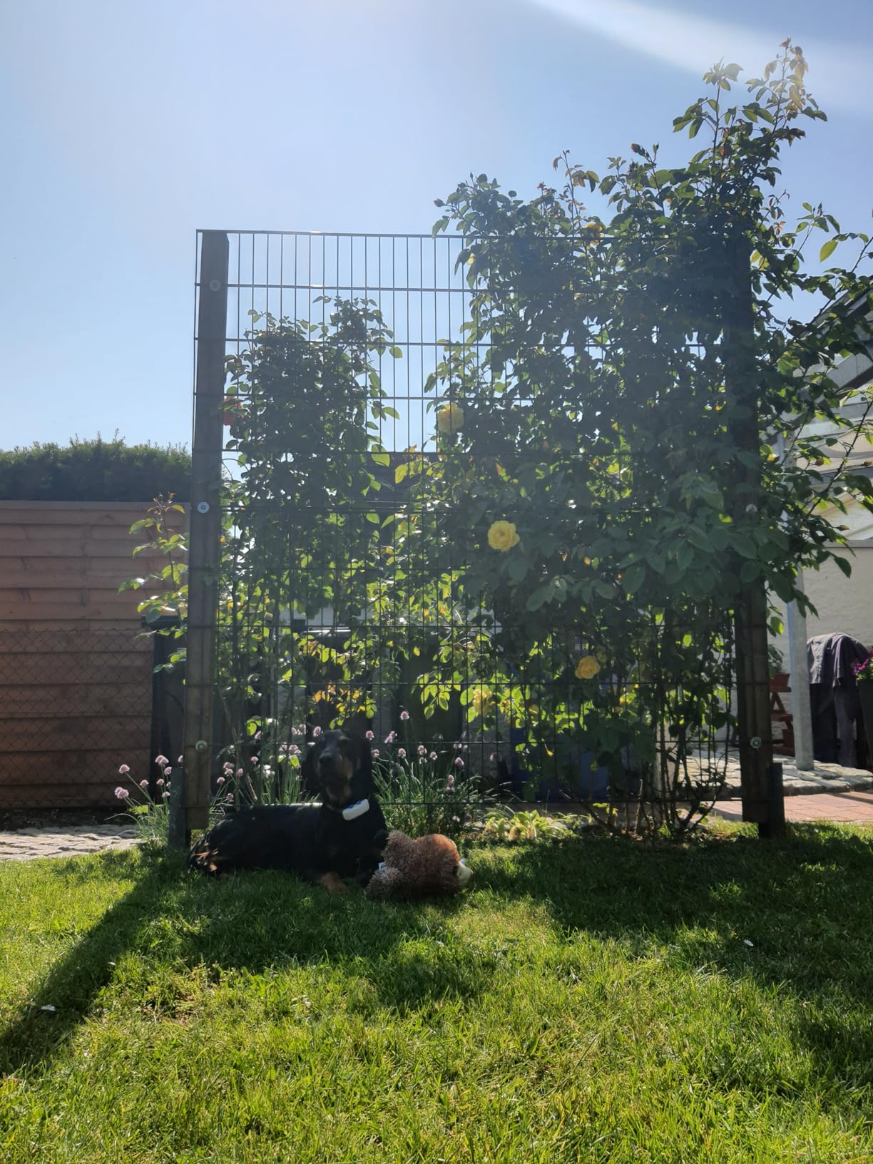 Résistant et mignon