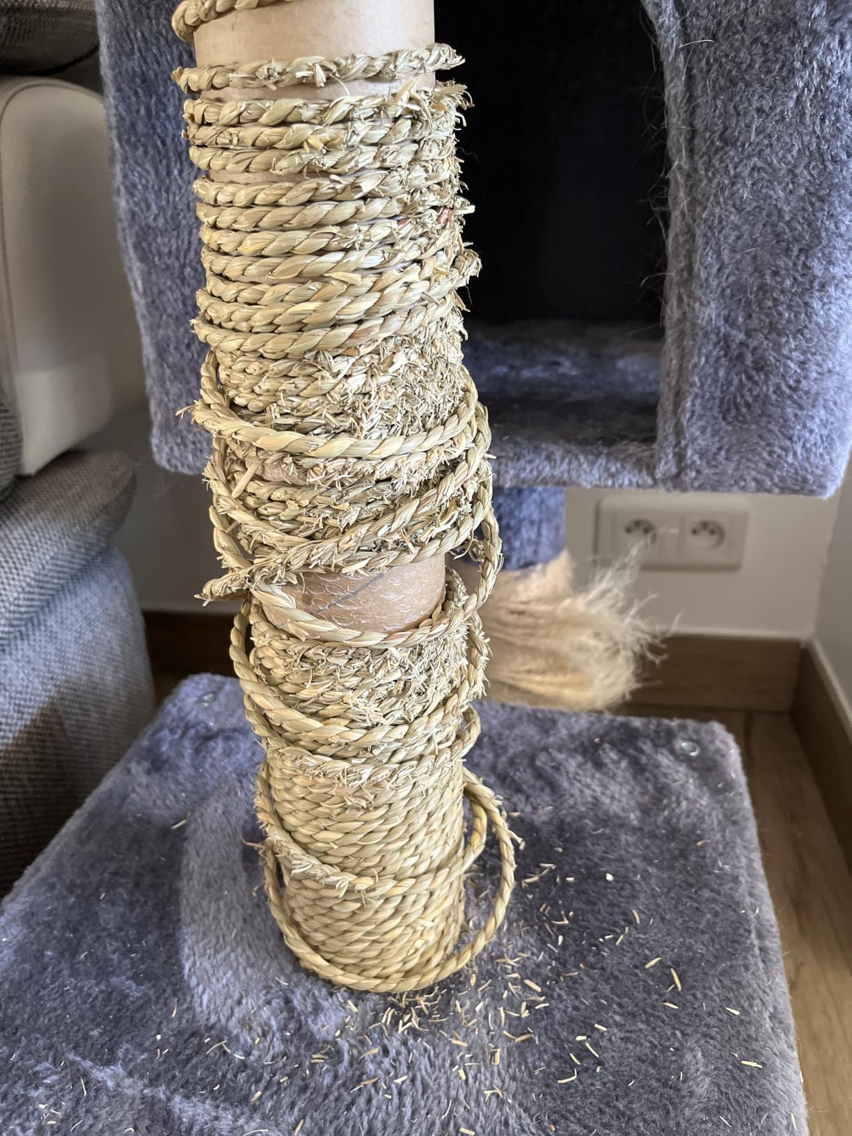 Mon vieux chat a retrouvé son poteau