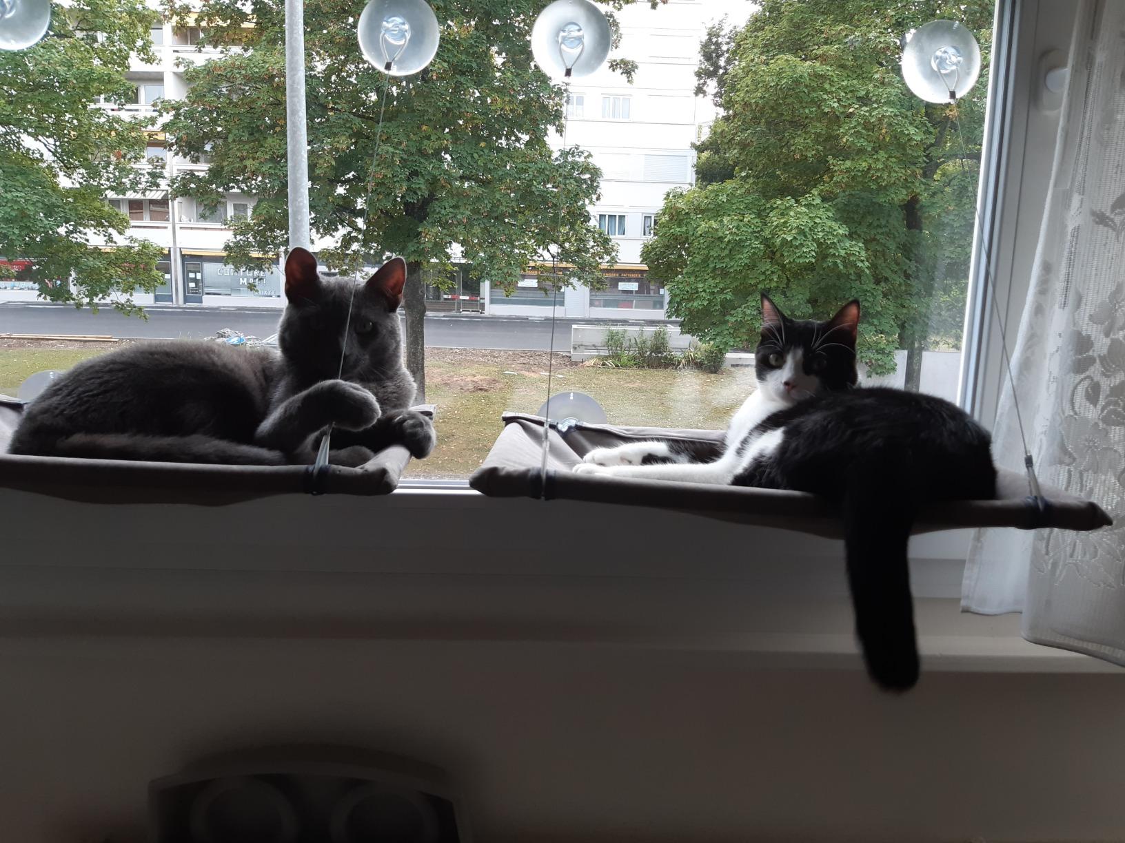 Que du bonheur
