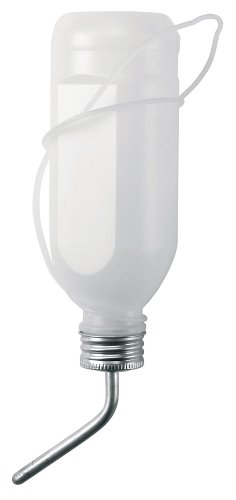 kerbl-pet-abreuvoir-bouteille-rongeur-verre-500-ml image 4