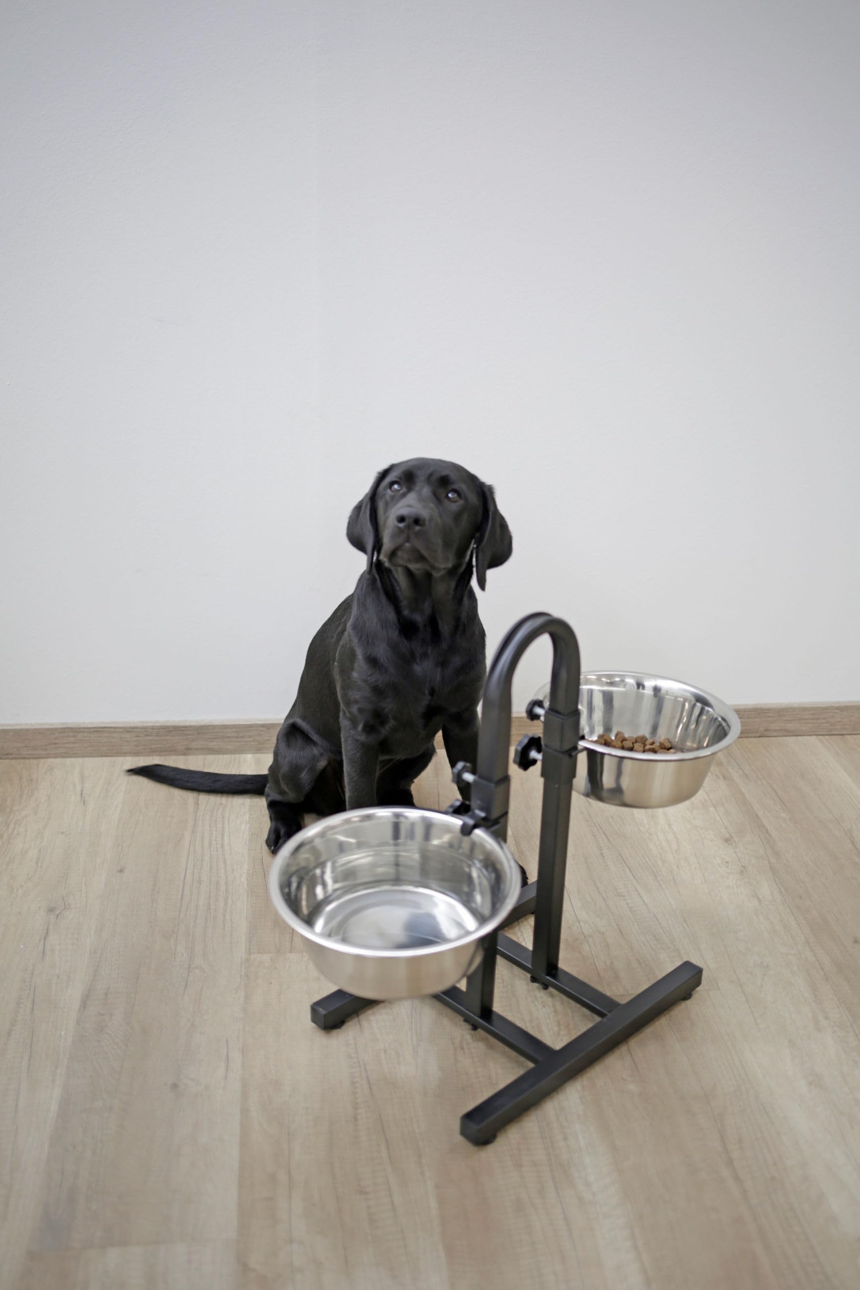 kerbl-bar-aliments-deluxe-pour-chien-2-x-2800-ml-hauteur-r-glable-52-cm-inox image 4