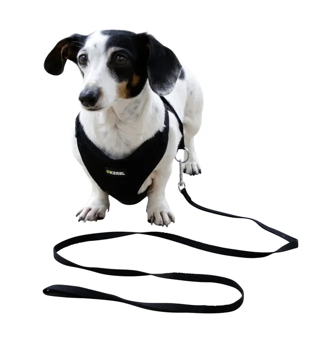 kerbl-pet-harnais-pour-chiots-noir-24-44-cm-10-mm-lot-de-3 image 1