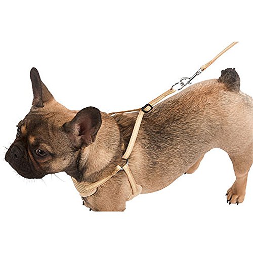 kerbl-pet-harnais-pour-chiots-beige-30-50cm-10mm-avec-laisse-120cm-lot-de-3 image 5