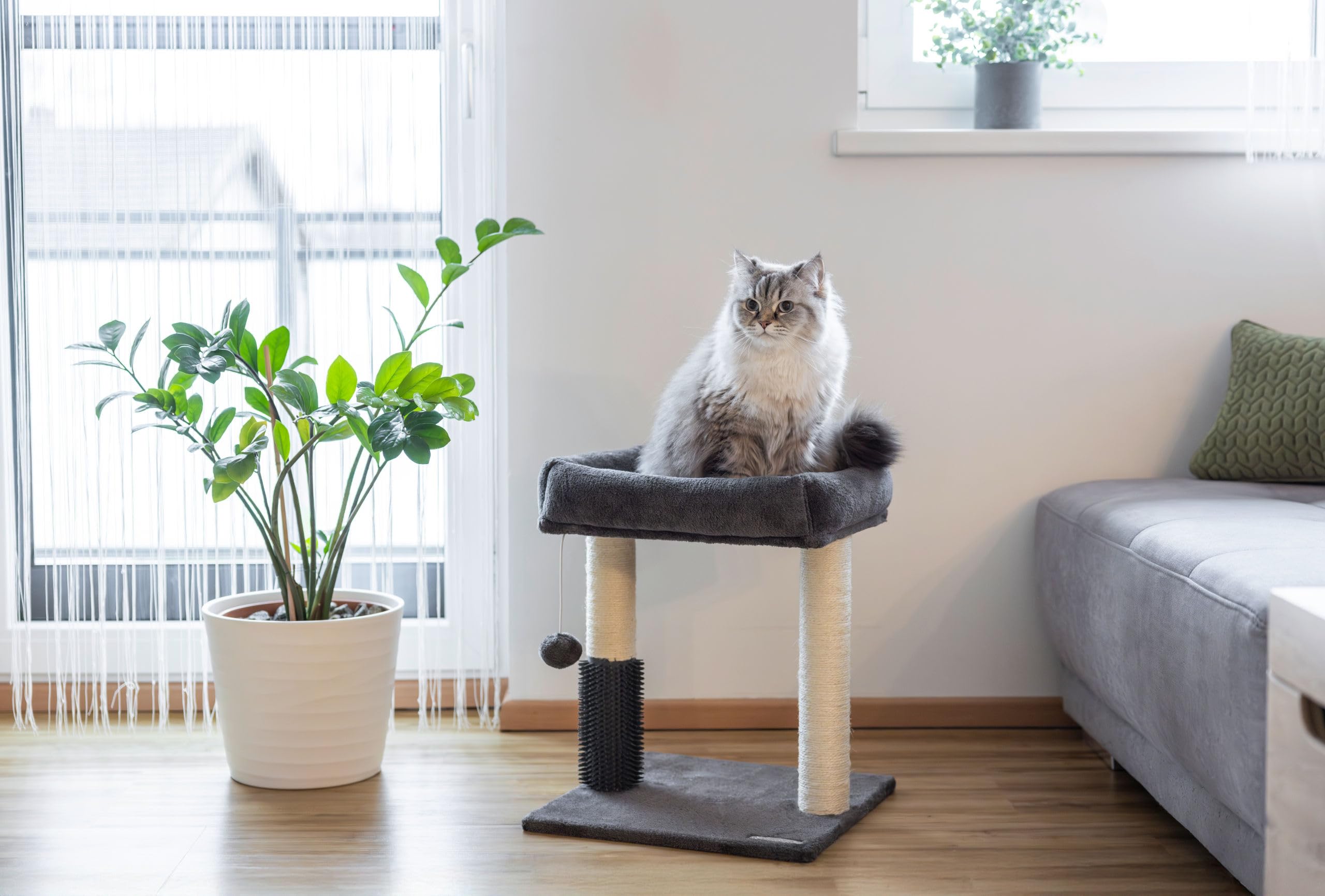 kerbl-pet-arbre-chat-rosi-gris-48-cm-avec-griffoir-sisal image 2