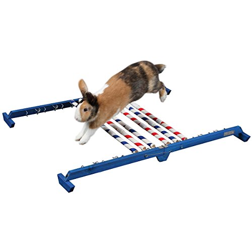 kerbl-2208368-obstacle-d-agility-53-cm-r-glable image 6