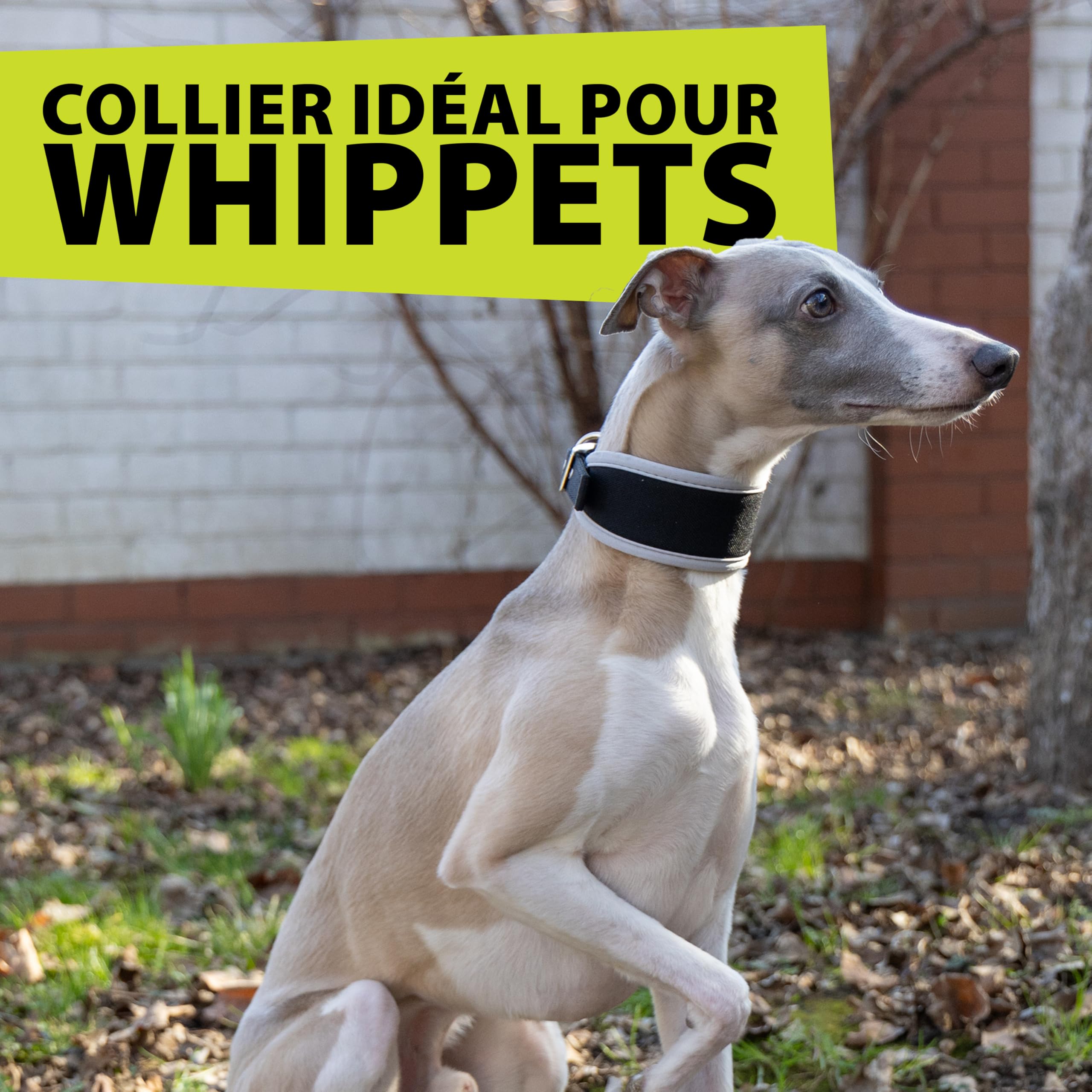 ferplast-ergocomfort-c15-33-collier-chien-l-vrier-argent image 7