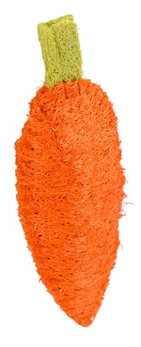 kerbl-carotte-en-luffa-pour-petit-animal-10-cm image 3