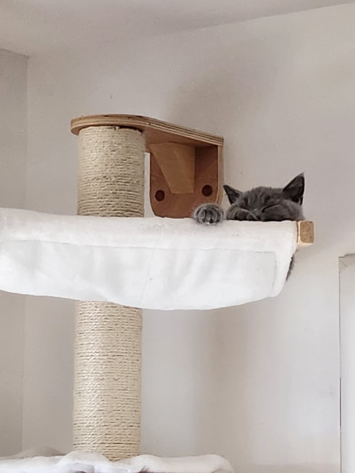 Déçue par la peluche
