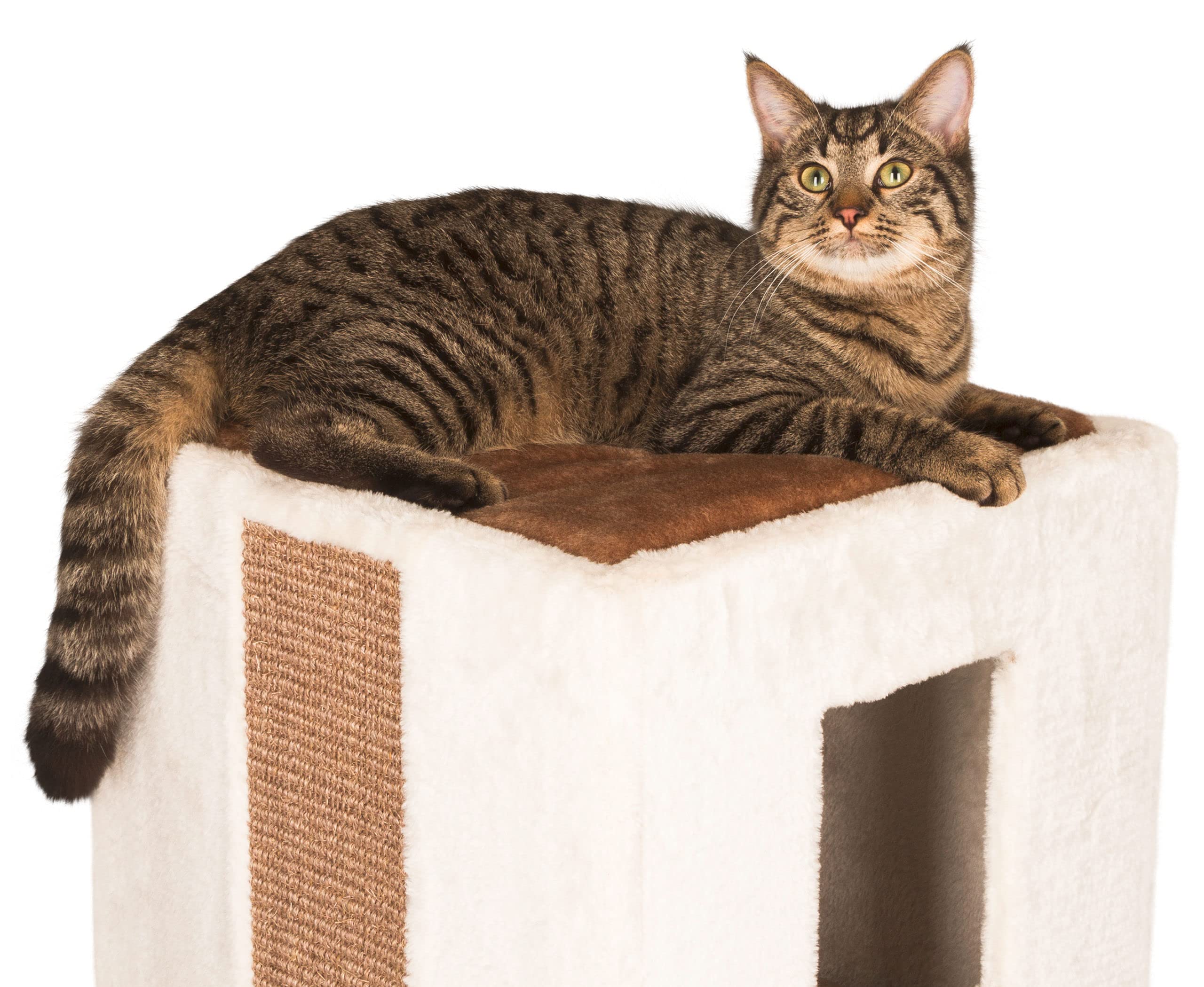 kerbl-galina-tunnel-griffoir-chat-blanc-marron-40-x-40-x-78-cm image 3
