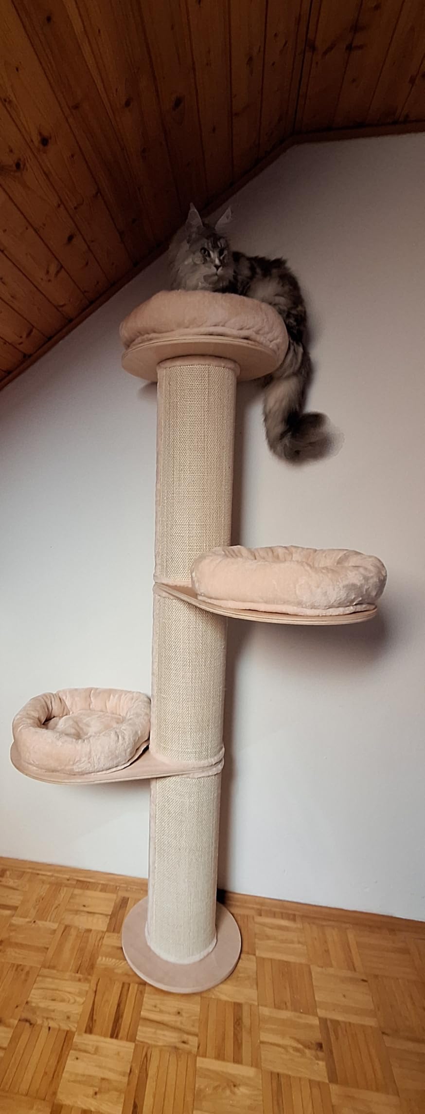 Palace pour mes 3 chats