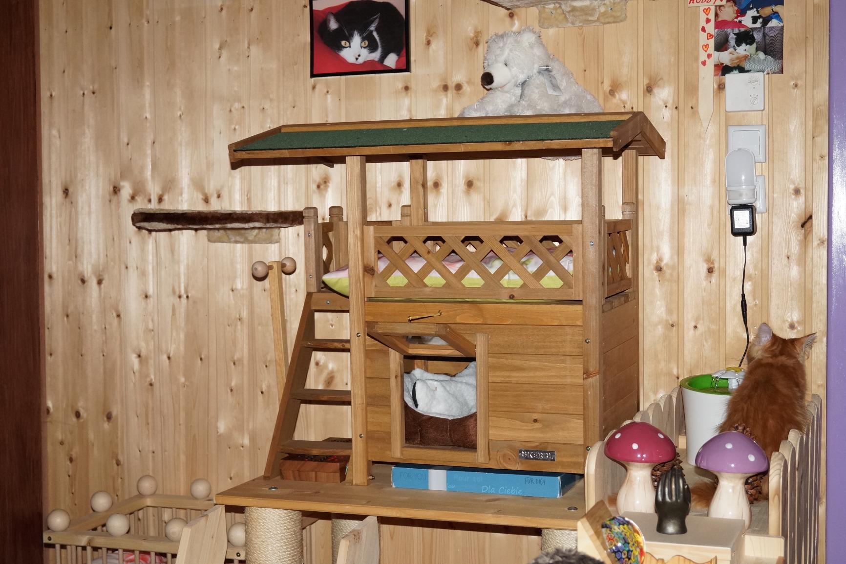 Mon chat l'a adoptée en deux jours