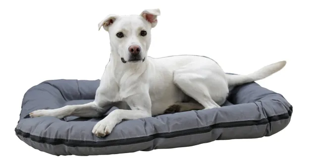 kerbl-pet-coussin-oxford-place-gris-100-x-70-x-15-cm image 1