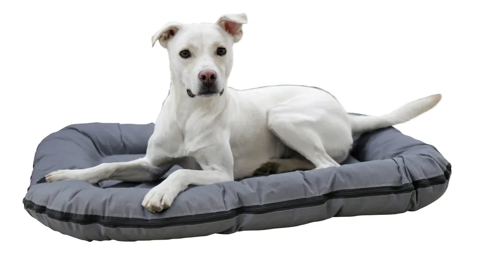 kerbl-pet-coussin-oxford-place-gris-100-x-70-x-15-cm image 1
