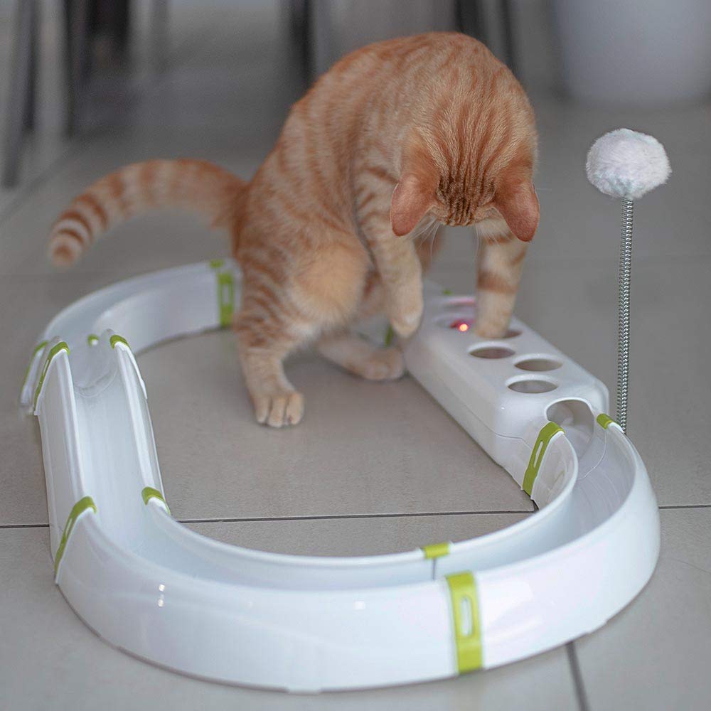 ferplast-labyrinth-circuit-jouet-interactif-pour-chat-72-x-40-cm-avec-balle-lumi image 5