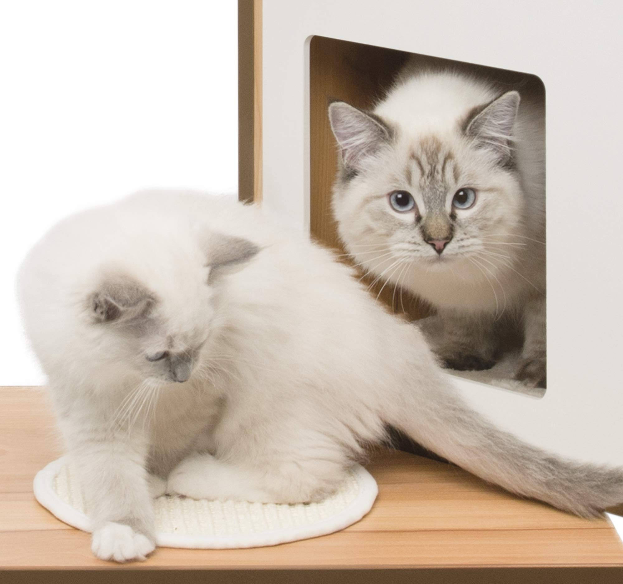catit-vesper-double-52048-arbre-chat-noyer-2-cubes image 2