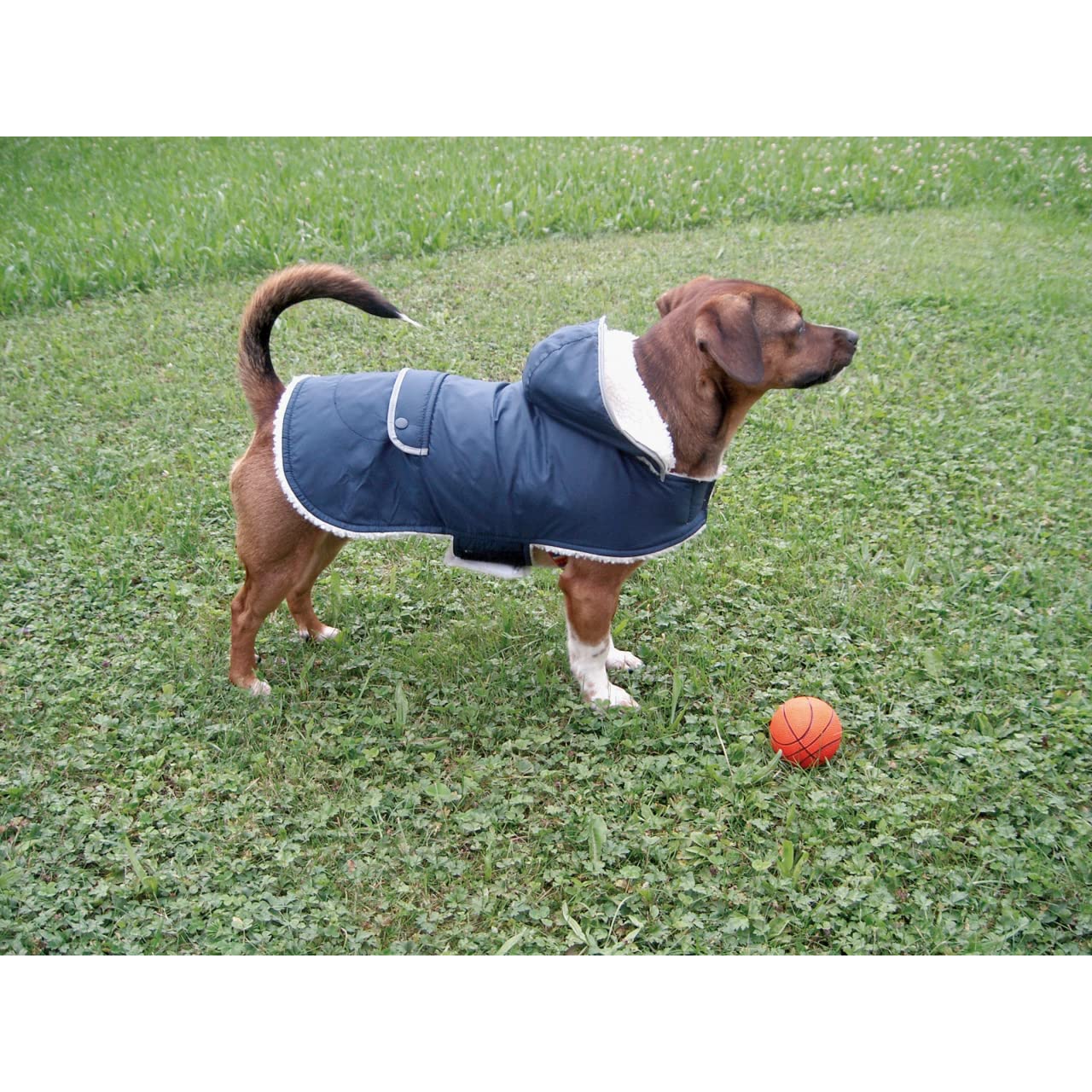 kerbl-pet-manteau-chaud-pour-chien-teddy-48-cm-avec-bandes-r-fl-chissantes image 4
