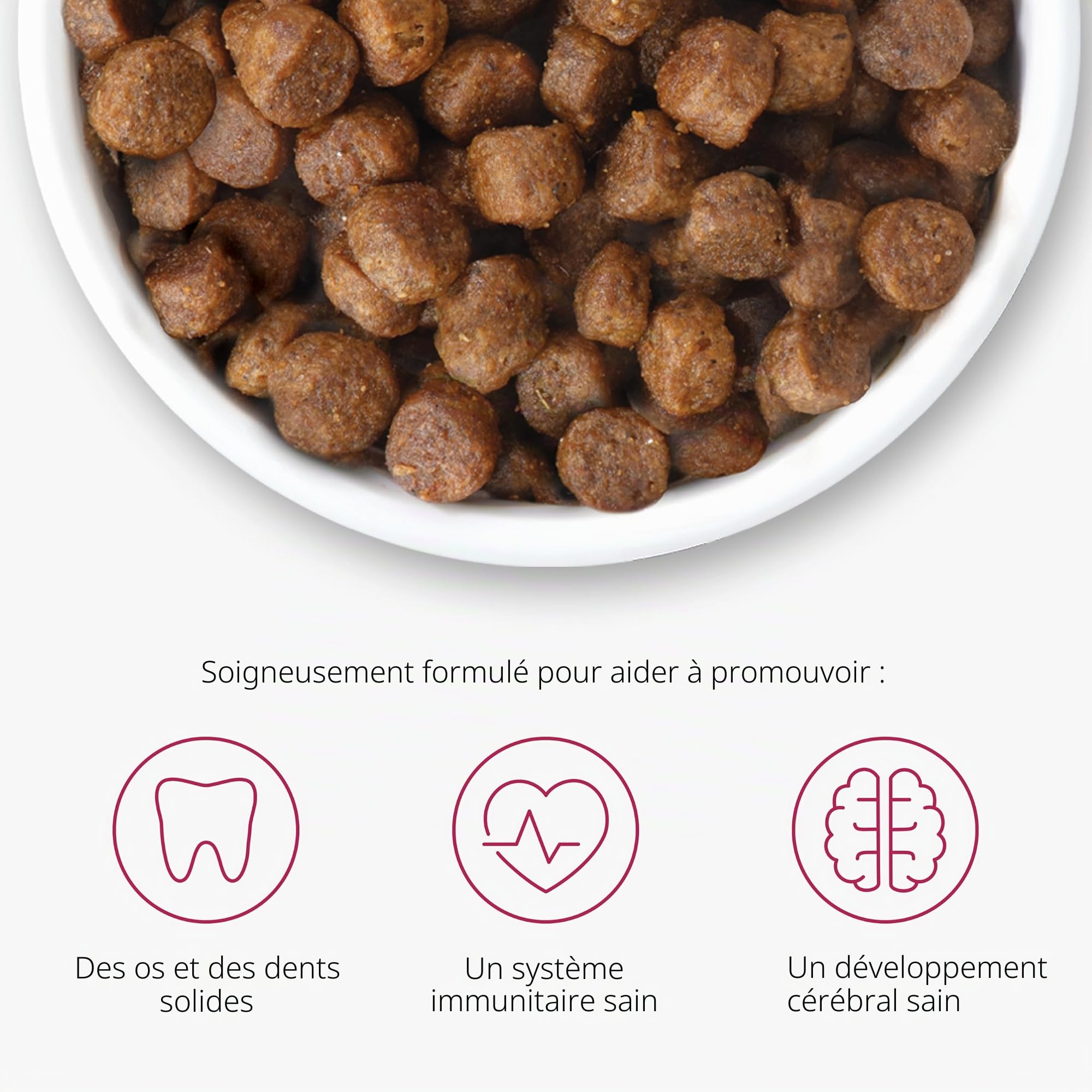 catit-recipes-kitten-volaille-croquettes-chaton-400-g image 5