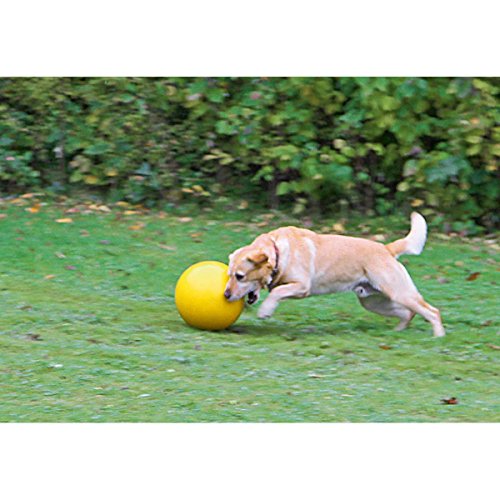 kerbl-balle-flottante-pour-chien-jaune-30-cm-800-g-plastique-robuste-made-in-ger image 4