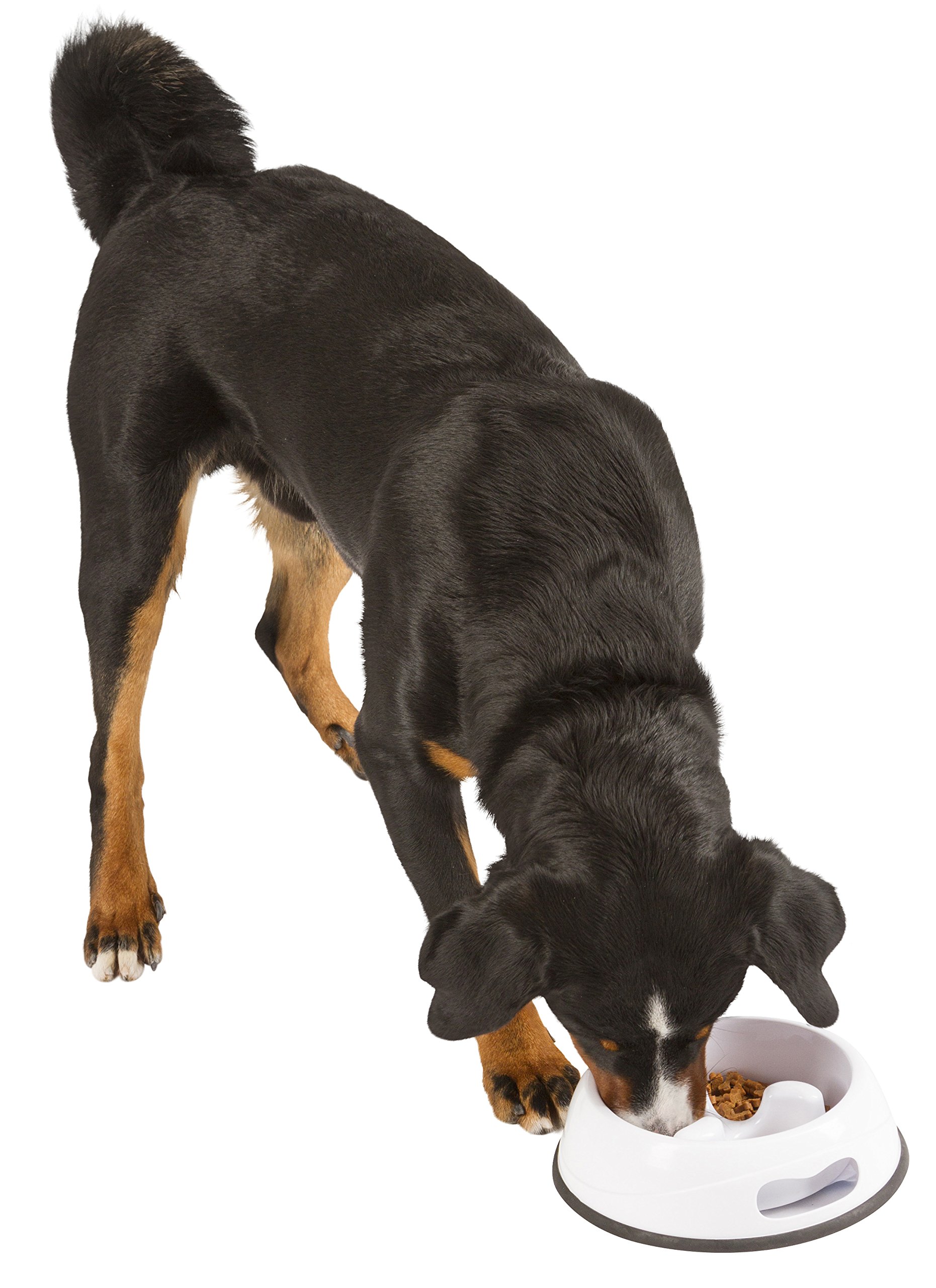 kerbl-2207716-anti-dribble-cuelle-en-plastique-blanc-1-l-pour-chat image 2