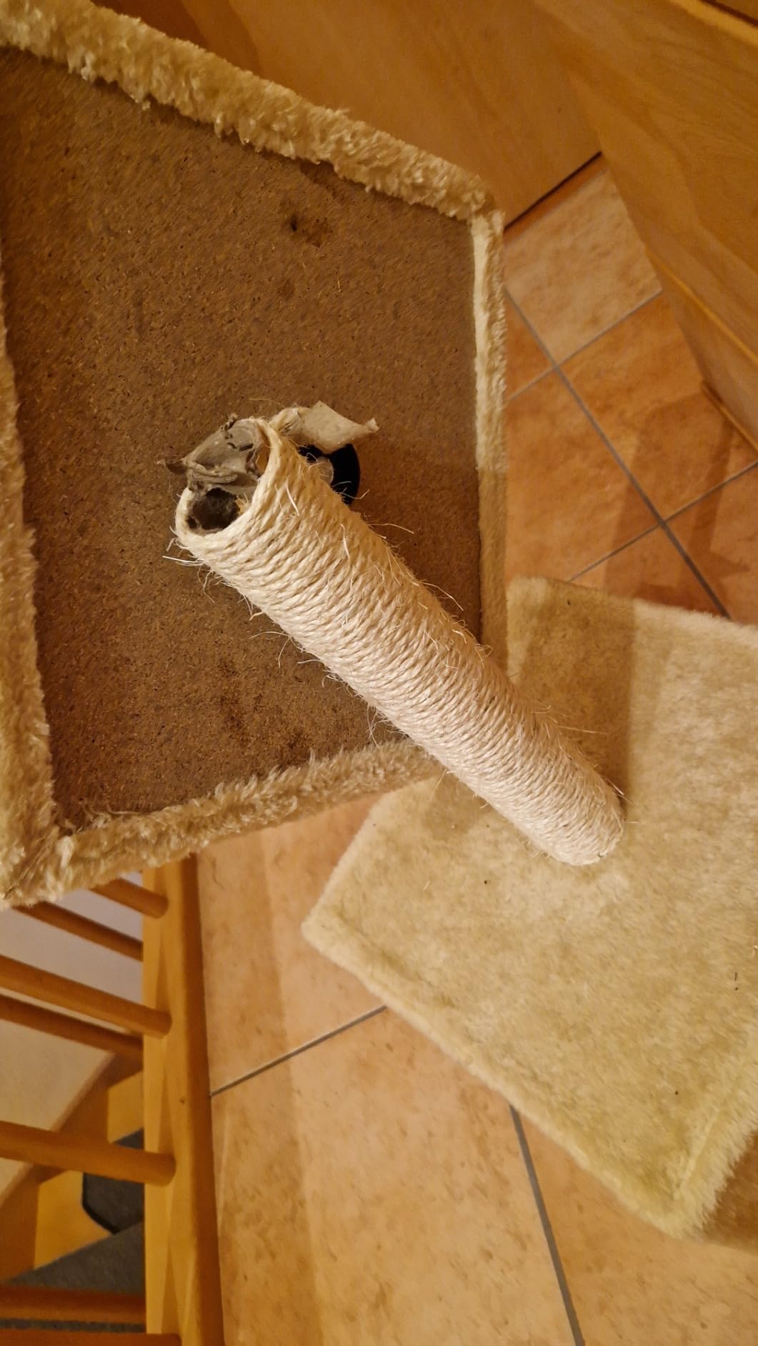 Bien pour chat calme