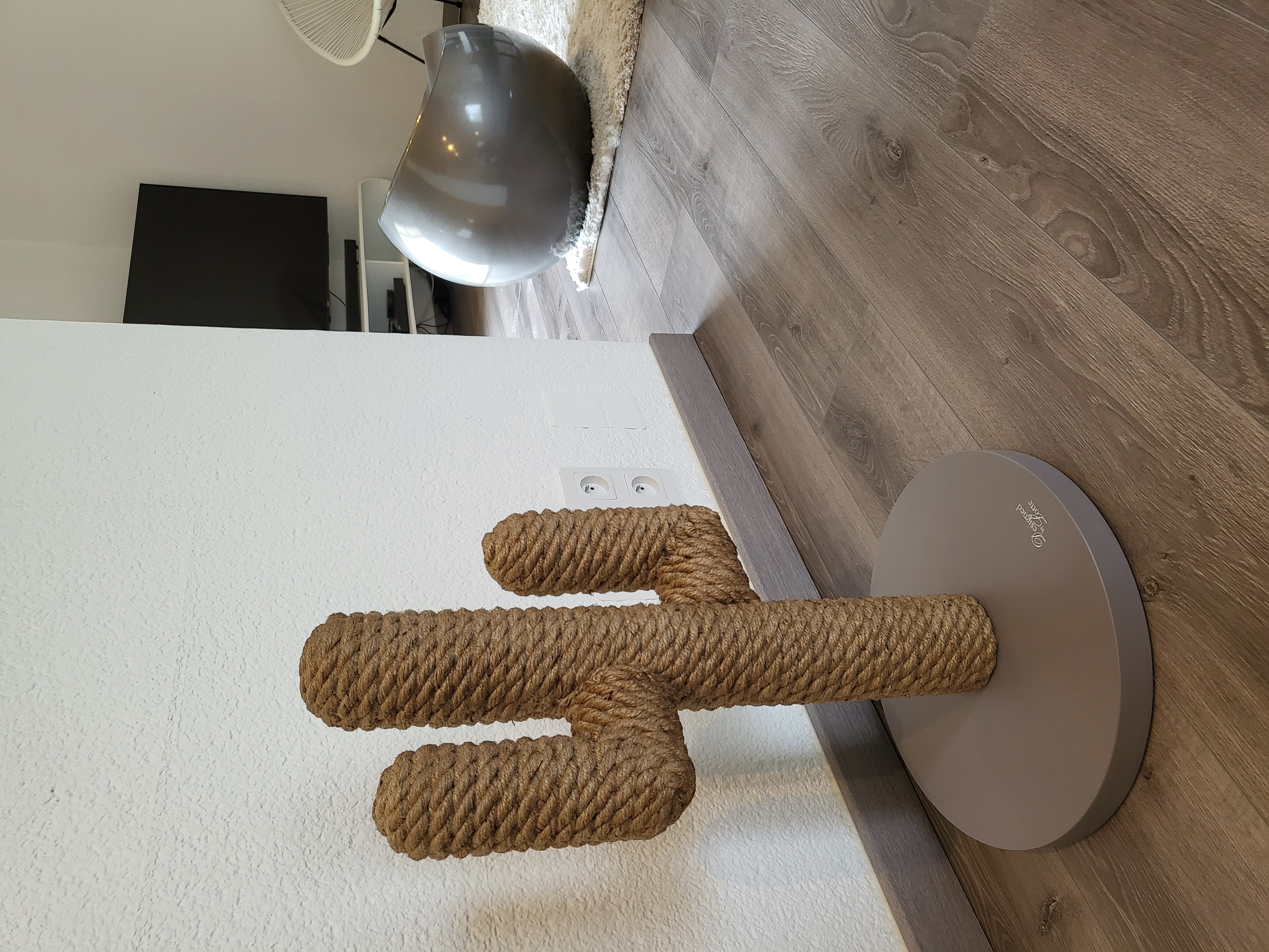 Mignon et pratique