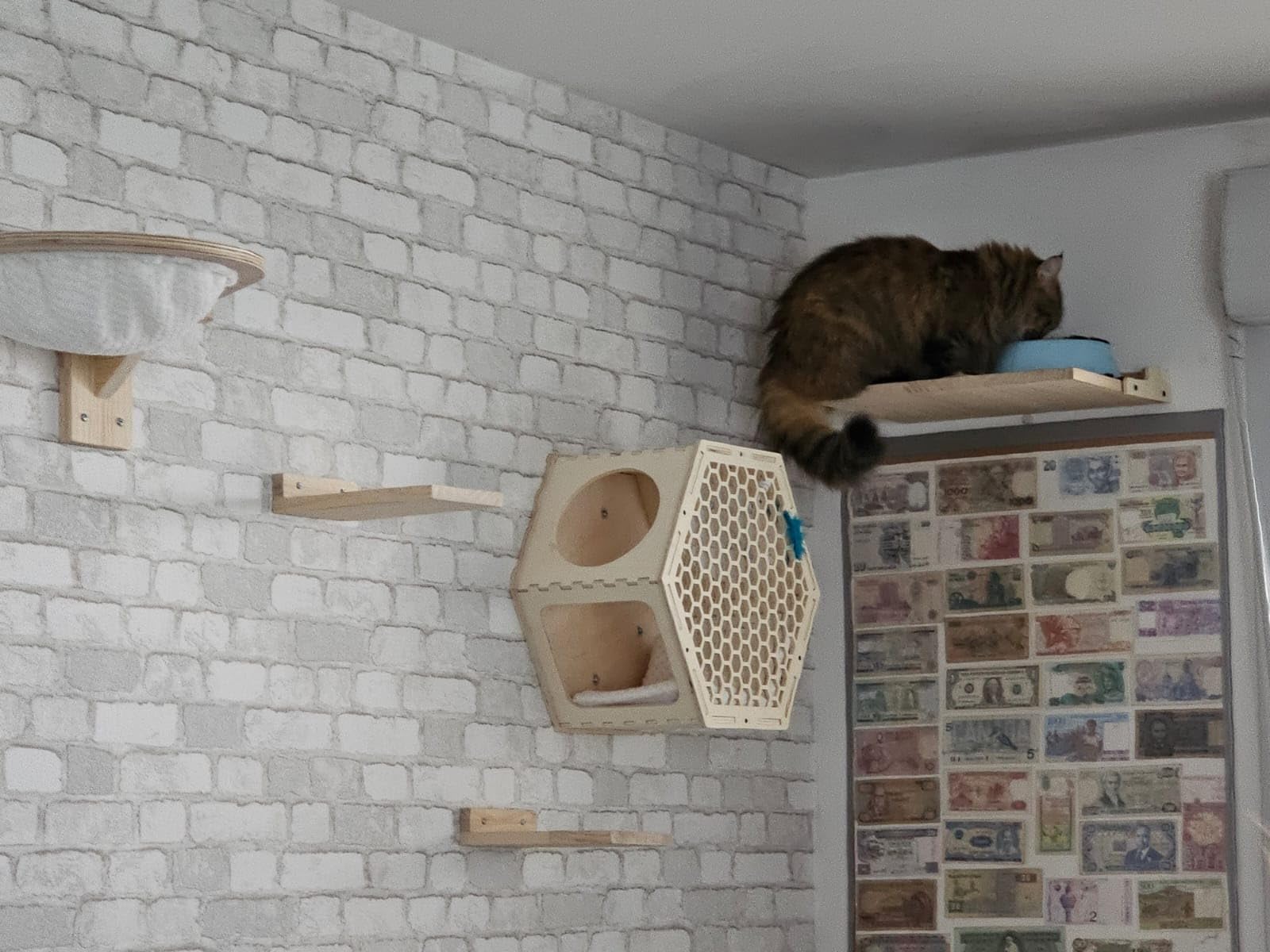 Beau et pratique