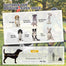 pawhut-remorque-v-lo-et-poussette-2-en-1-pour-chien-jusqu-20-kg-blanc-2 image 6