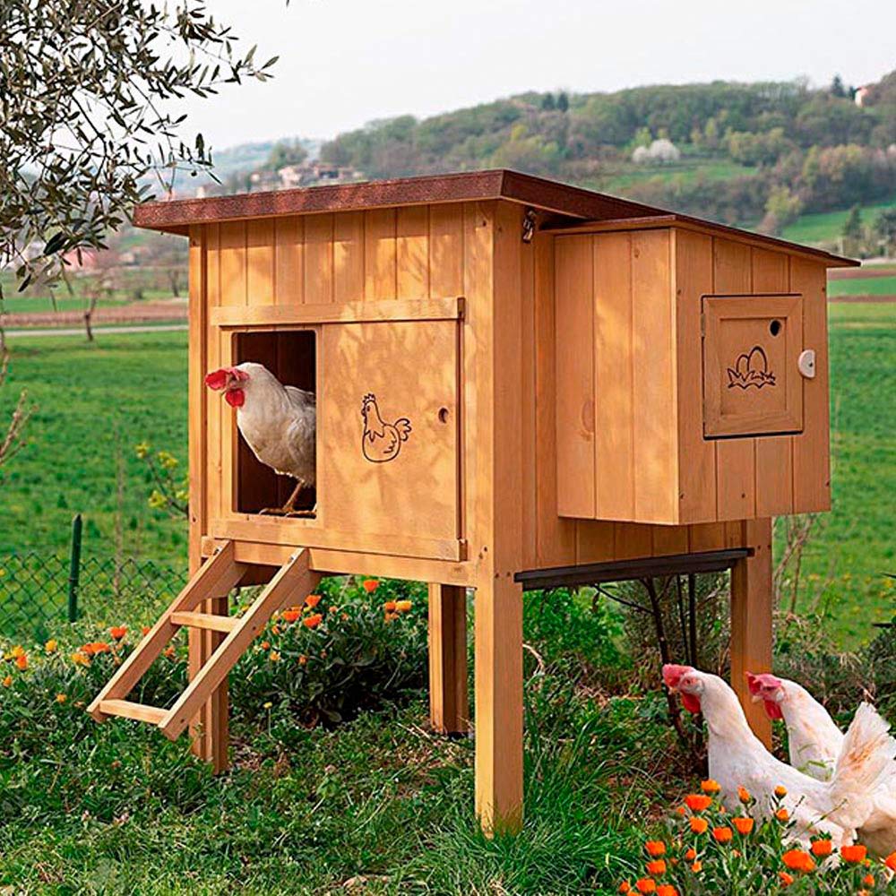 ferplast-hen-house-10-poulailler-ext-rieur-en-bois-fsc-pour-4-poules-124x98xh110 image 3