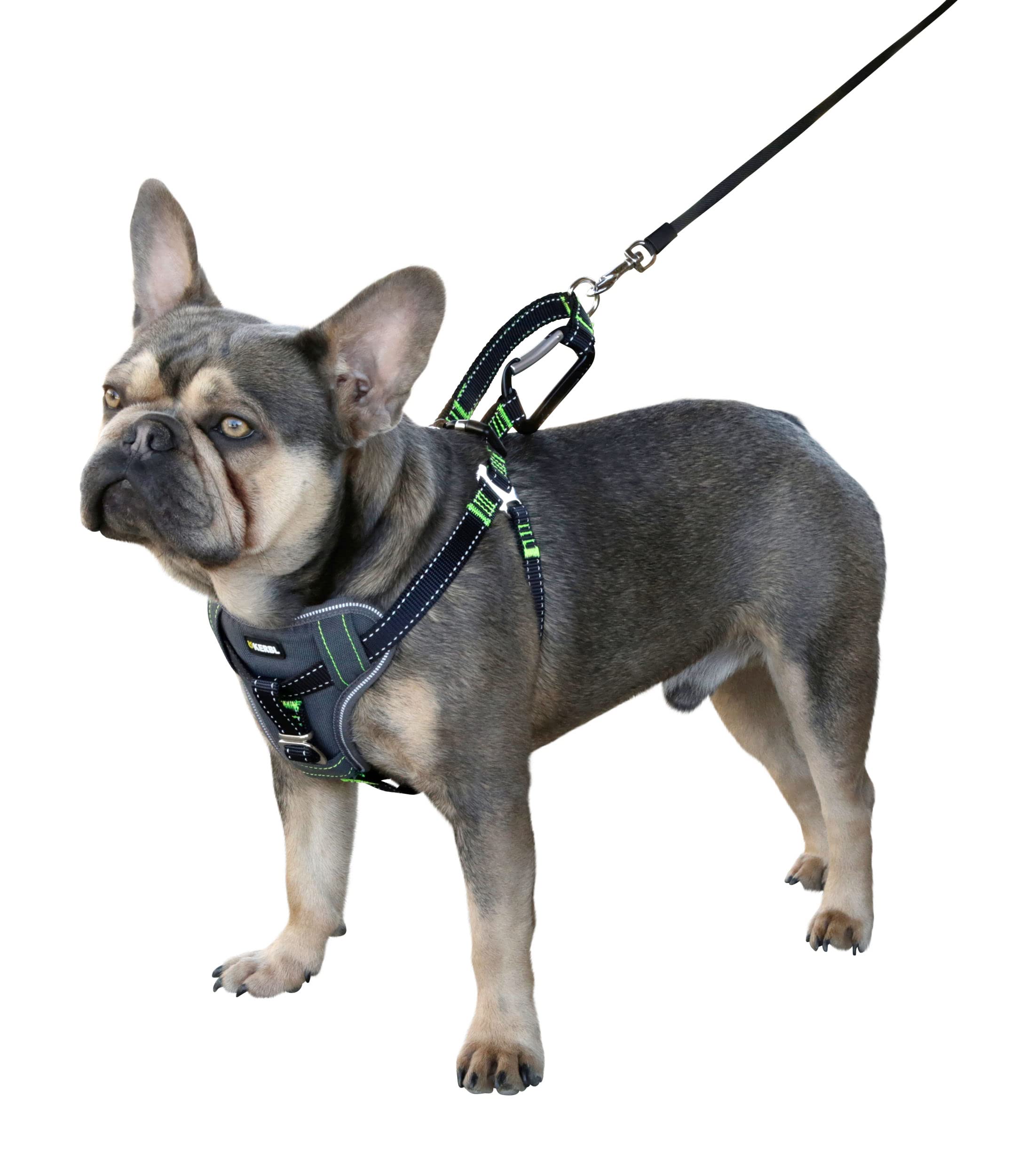 kerbl-harnais-pour-voiture-chien-noir-50-65-cm-20-mm image 2