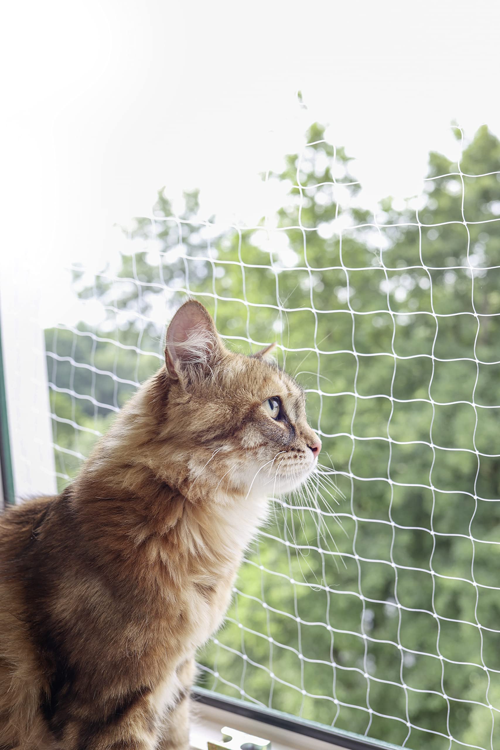 kerbl-filet-de-protection-pour-chat-2-x-3-m-transparent image 2