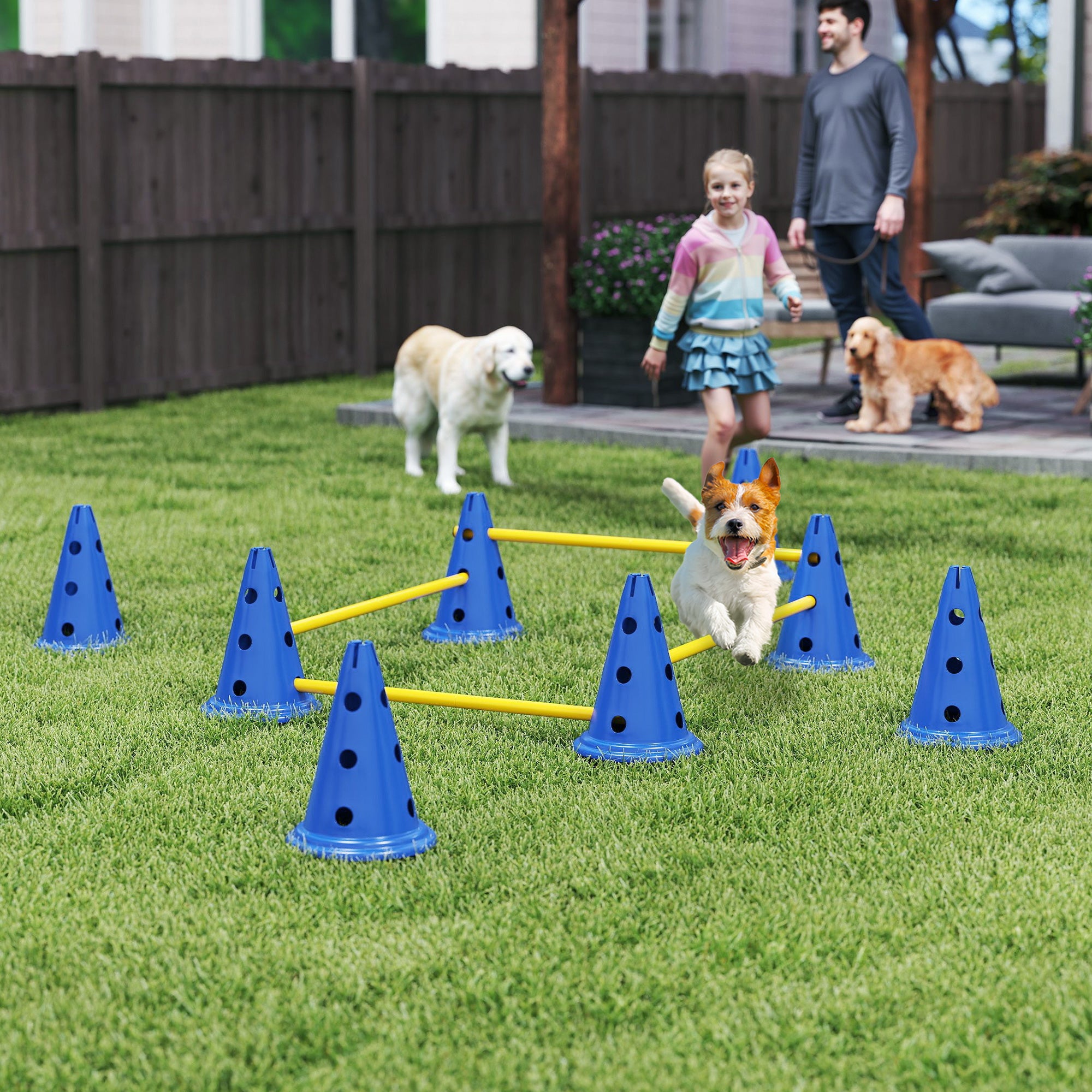 pawhut-kit-agility-chien-4-pi-ces-r-glable-avec-sac-bleu image 3