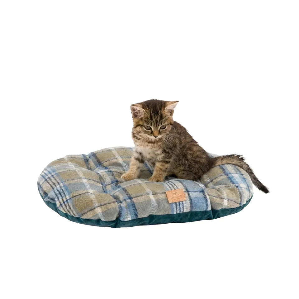 ferplast-scott-45-2-coussin-double-face-chien-chat-cossais-velours-bleu-43x30-cm image 1