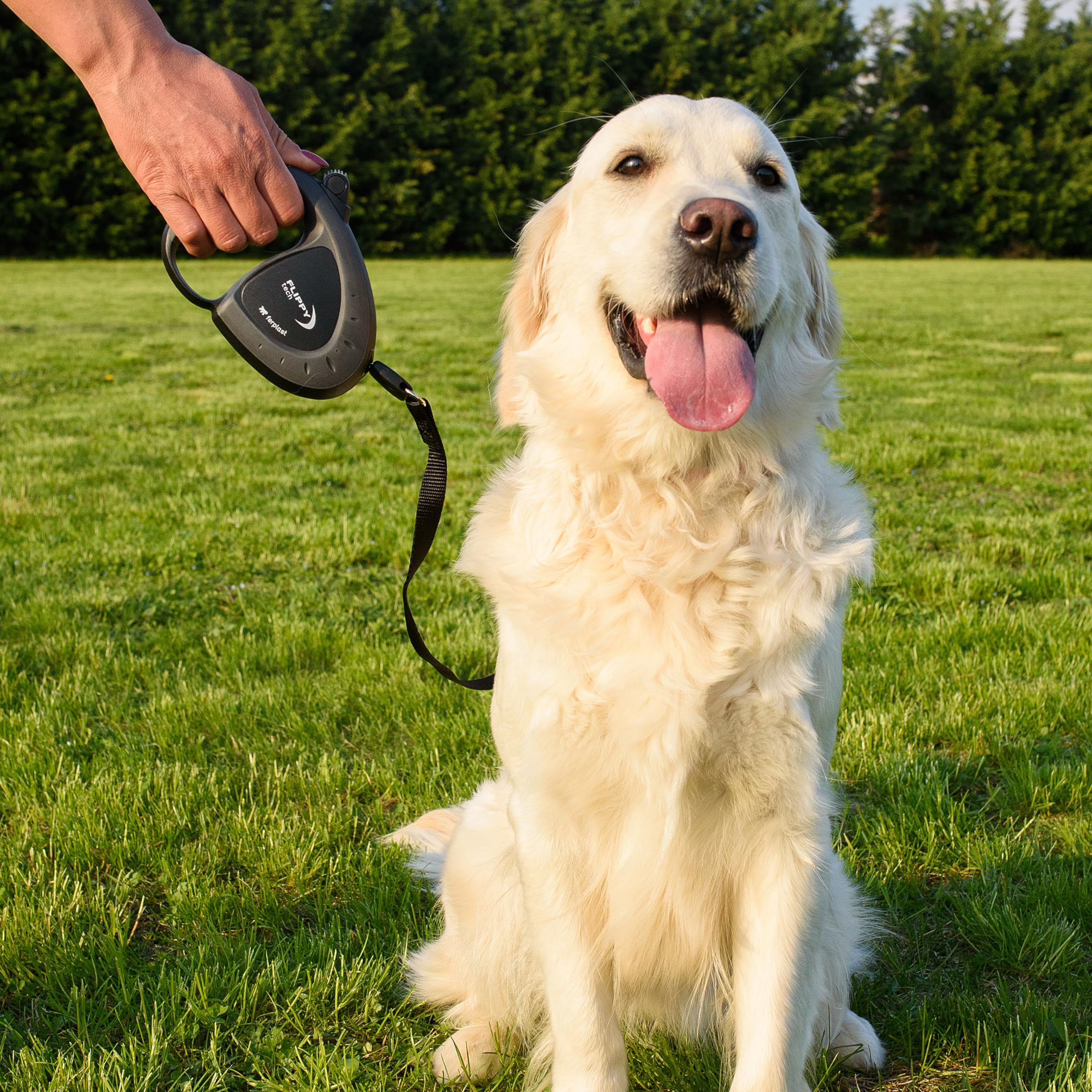 ferplast-flippy-tech-laisse-enrouleur-sangle-3-m-pour-chien-jusqu-25-kg-noir image 3