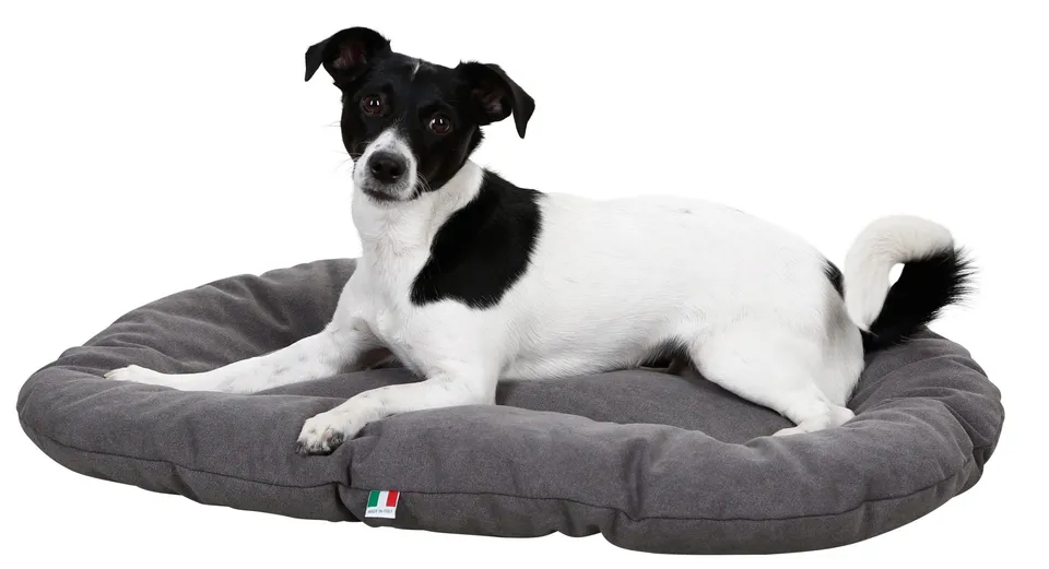 kerbl-lucca-coussin-pour-chien-gris-63-x-48-cm-coton-lavable image 1