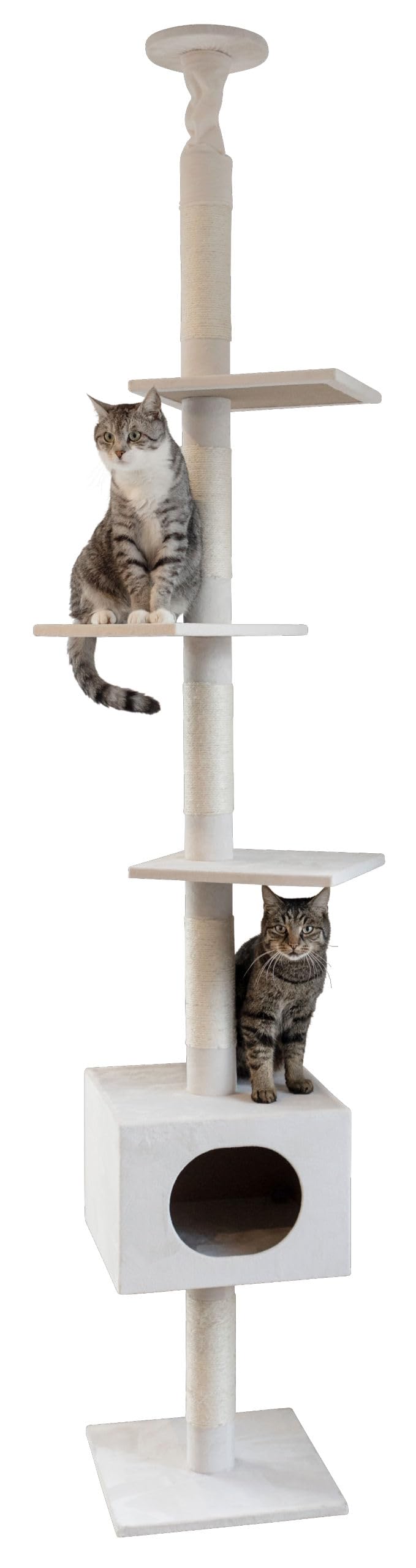 kerbl-arbre-chat-ferdi-blanc-38-x-38-x-240-260-cm-avec-fixation-plafond image 1