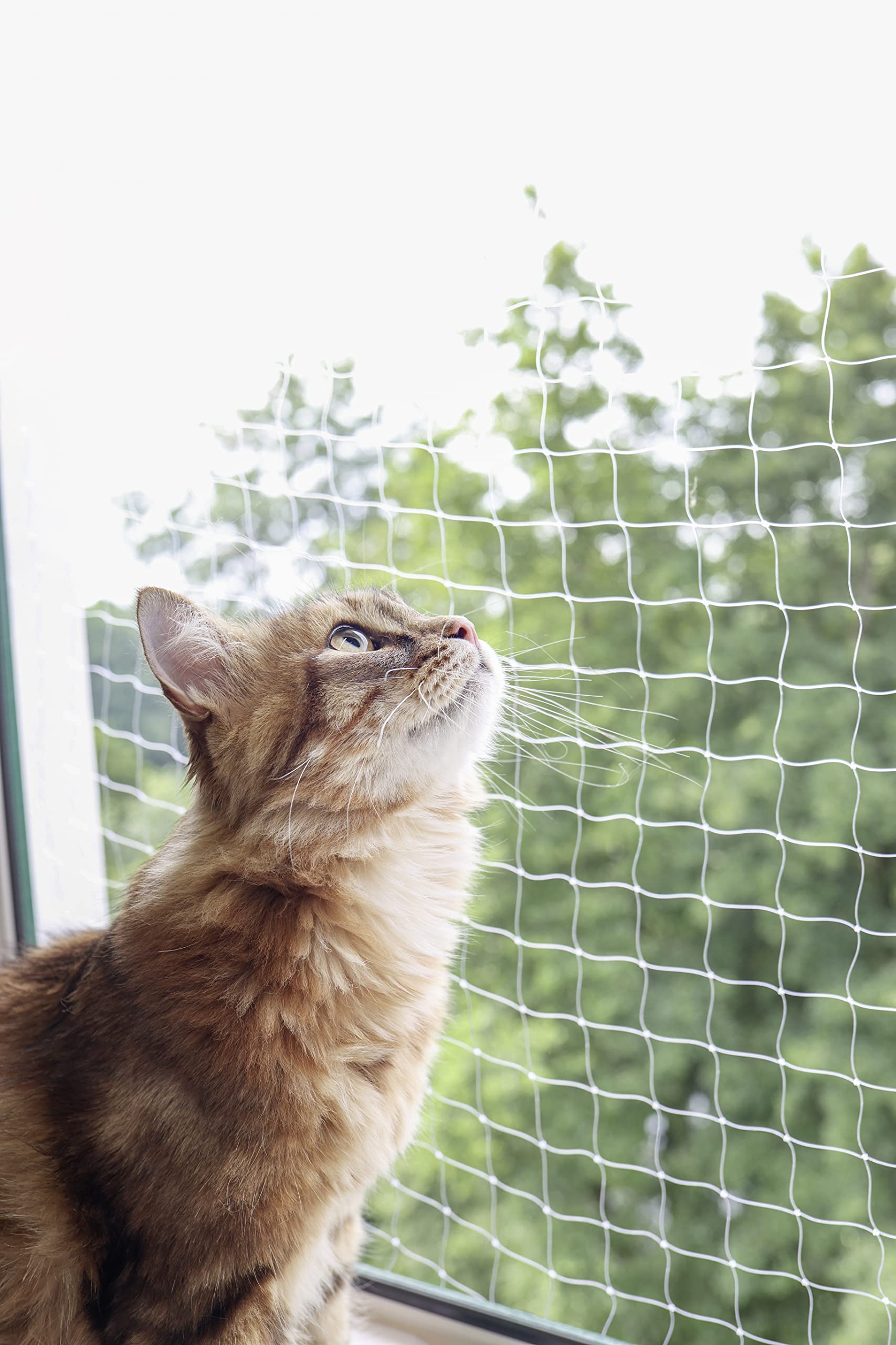 kerbl-filet-de-protection-pour-chat-2-x-3-m-transparent image 3