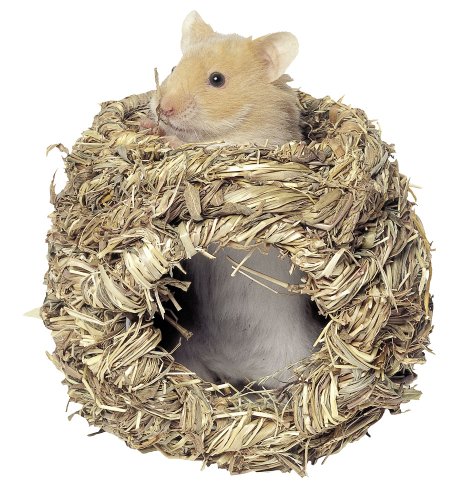 kerbl-pet-nid-d-herbe-rongeurs-10-cm-100-naturel-comestible image 4