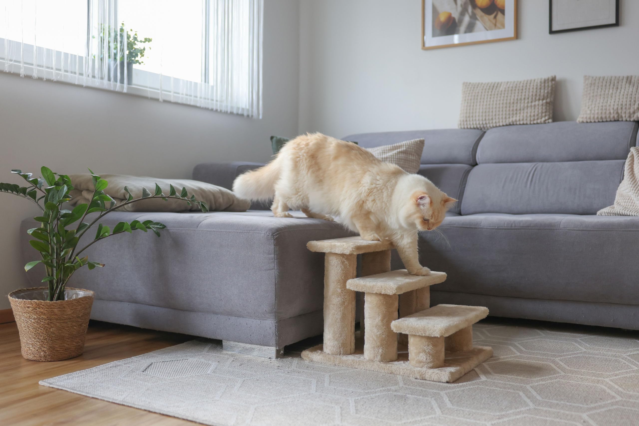 kerbl-pet-easy-climb-2-0-escalier-pour-animaux-beige-45x35x34-cm-50-kg image 2